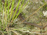 P6230070.JPG (488.93 КБ) 16580 просмотров P6230070.JPG