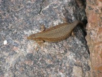 P6080644.JPG (393.42 КБ) 17970 просмотров P6080644.JPG