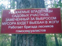 forestgomo_inner-page.jpg