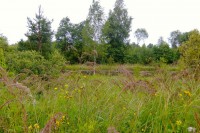 020.JPG (268.24 КБ) 26862 просмотра 020.JPG