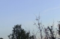 002.JPG (669.93 КБ) 13104 просмотра 002.JPG