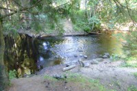 005.JPG (172.56 КБ) 18989 просмотров 005.JPG