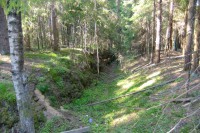 003.JPG (191.67 КБ) 18992 просмотра 003.JPG