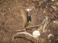 Армия 888.jpg (232.39 КБ) 12082 просмотра Армия 888.jpg