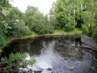 230812 031.jpg (324.48 КБ) 26869 просмотров 230812 031.jpg
