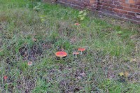 056.JPG (170.21 КБ) 25533 просмотра 056.JPG