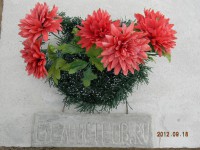 DSCN3493.jpg